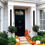 Armor Extra Wide Outdoor Wall Sconce - Novus Decor Lighting