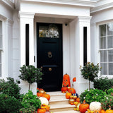 Armor Extra Wide Outdoor Wall Sconce - Novus Decor Lighting