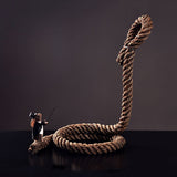 Rabbit Magic Show Bottle Holder - Novus Decor Accessories