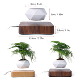 Air Planter - Novus Decor Accessories