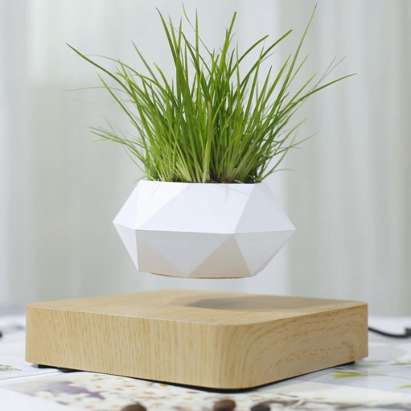 air plant accessories Air Planter – Novus Decor