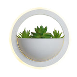 Circle Wall Lamp with Artificial Plant - Novus Decor Lighting