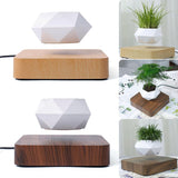 Air Planter - Novus Decor Accessories