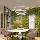 Halo - Modern Chandelier - Novus Decor Lighting