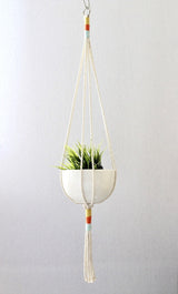 Macrame Cotton Plant Hanger - Multiple Color - Novus Decor Accessories