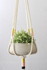 Macrame Cotton Plant Hanger - Large - Novus Decor Accessories