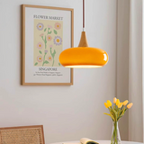 Scandinavian Dome Pendant Light