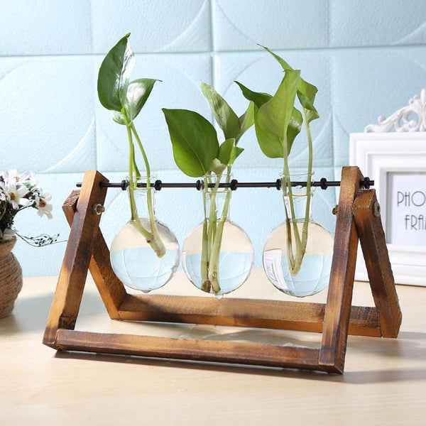 Terrarium Tabletop Planter - Novus Decor Accessories