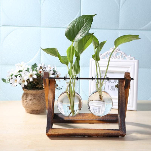 Terrarium Tabletop Planter - Novus Decor Accessories