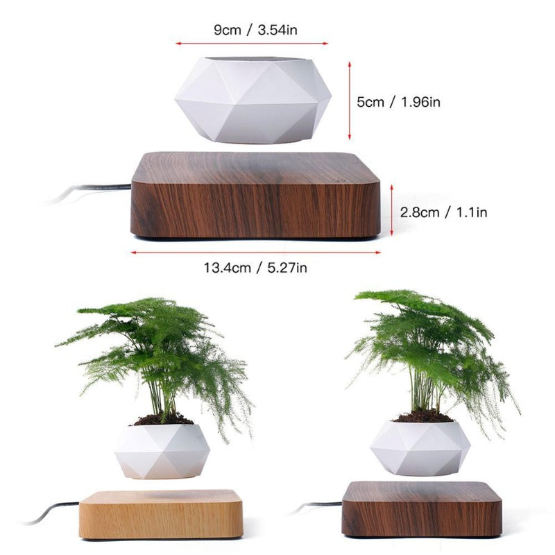 floating air plant pot Air Planter – Novus Decor