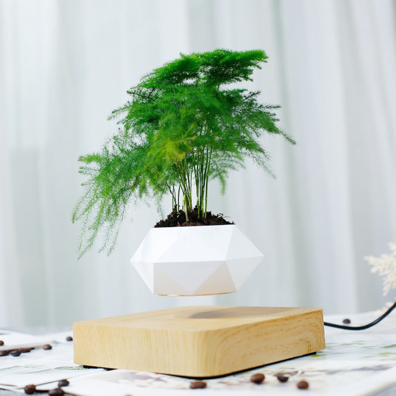 air pot planter Air Planter