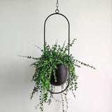 Minimalist Hanging Planter - Novus Decor Accessories