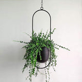 Minimalist Hanging Planter Novus Decor