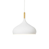 Ada - Modern Nordic Pendant Light - Novus Decor Lighting