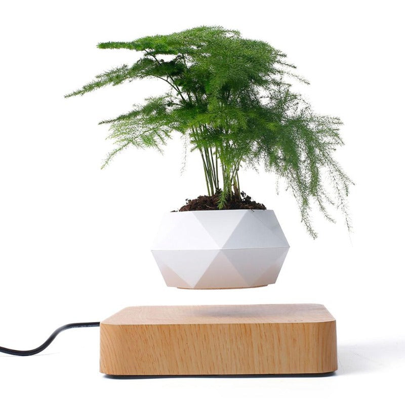 floating air plant pot Air Planter – Novus Decor