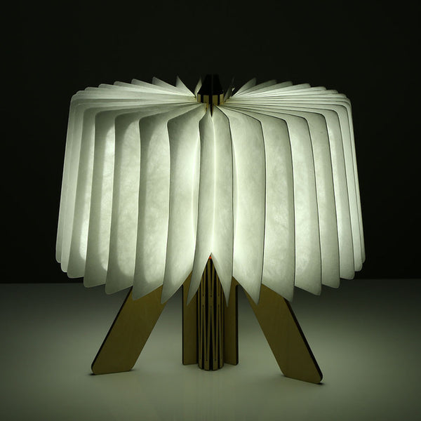 Standing Wooden Book Light - Novus Decor Lighting