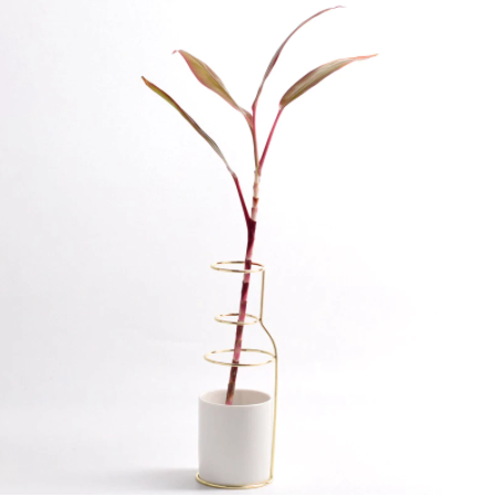 Mono - Ceramic Vase - Novus Decor Accessories